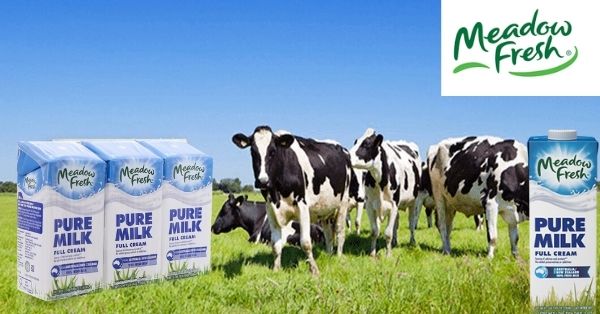 Meadow Fresh - sữa tươi giàu dinh dưỡng cho cả nhà 