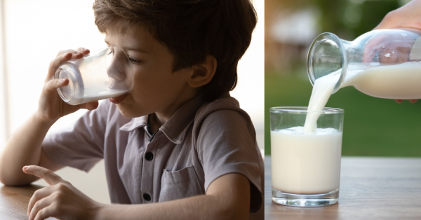 Chỉ nên cho trẻ trên 1 tuổi sử dụng sữa tươi